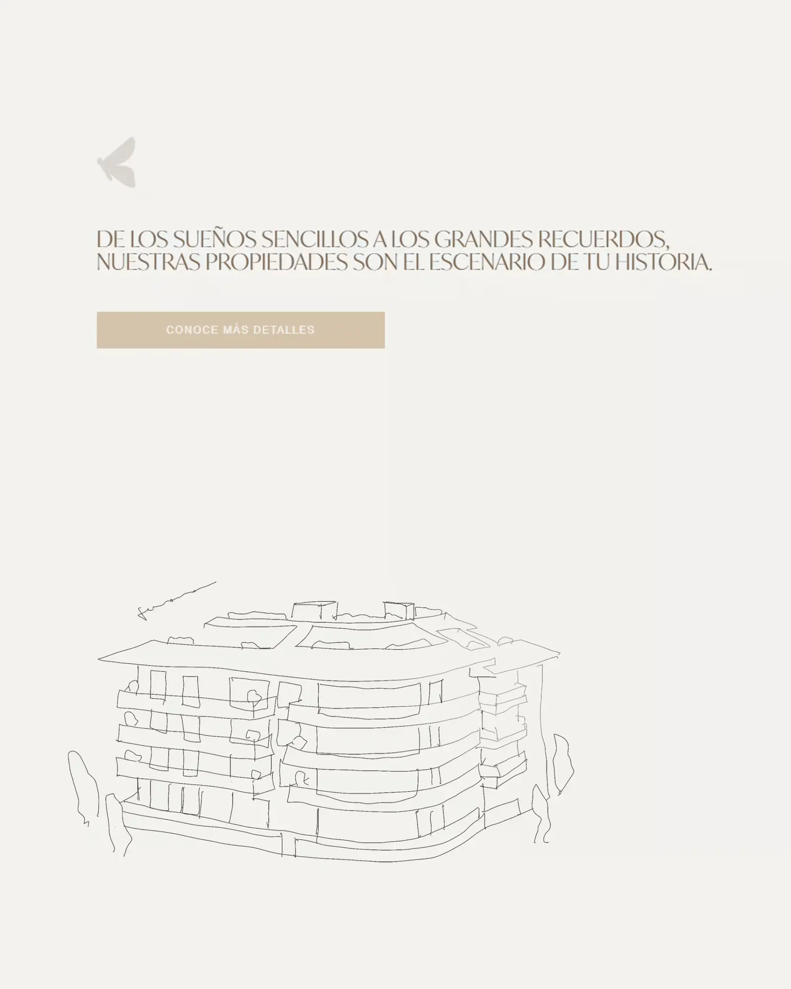 Tamana — galería 2 | Andez Consultores™