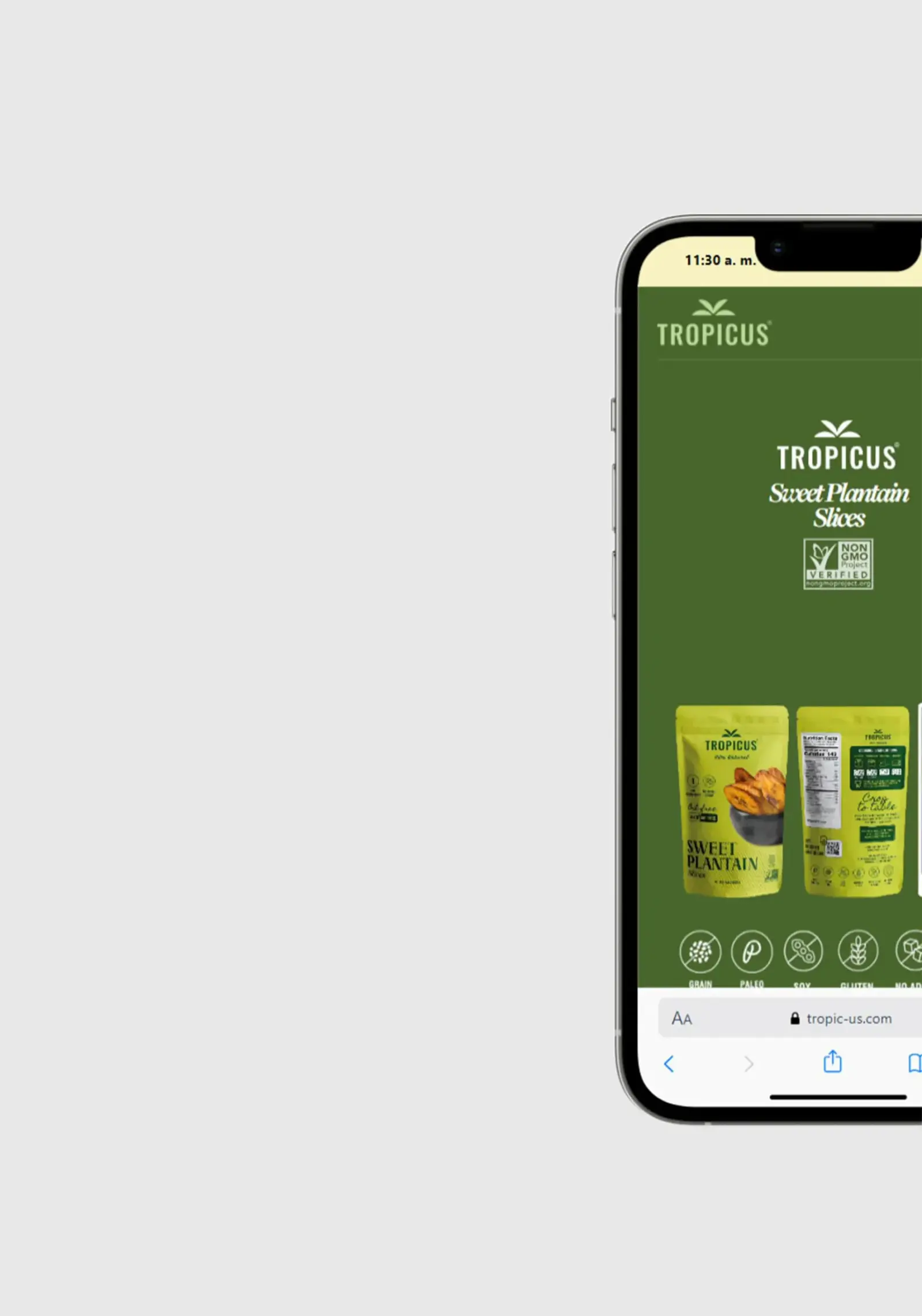 Tropicus — galería 2 | Andez Consultores™