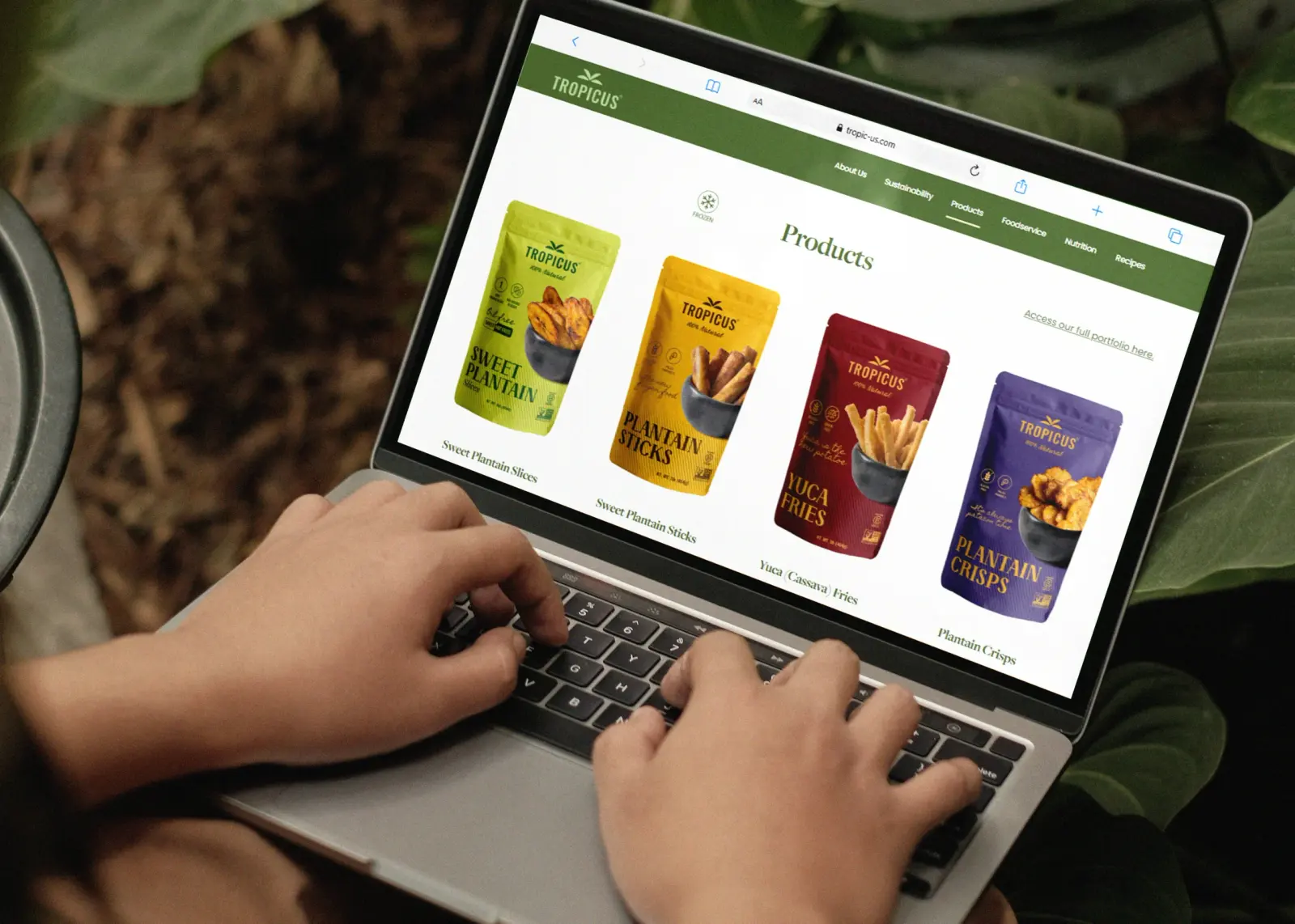 Tropicus — galería 4 | Andez Consultores™