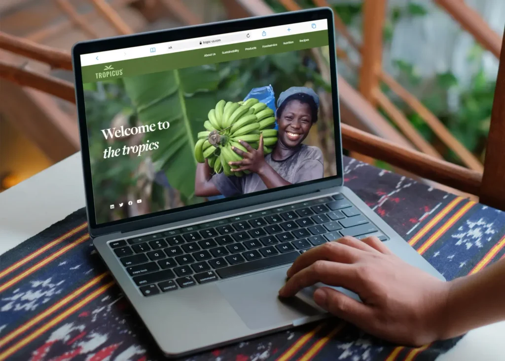Tropicus — galería 5 | Andez Consultores™